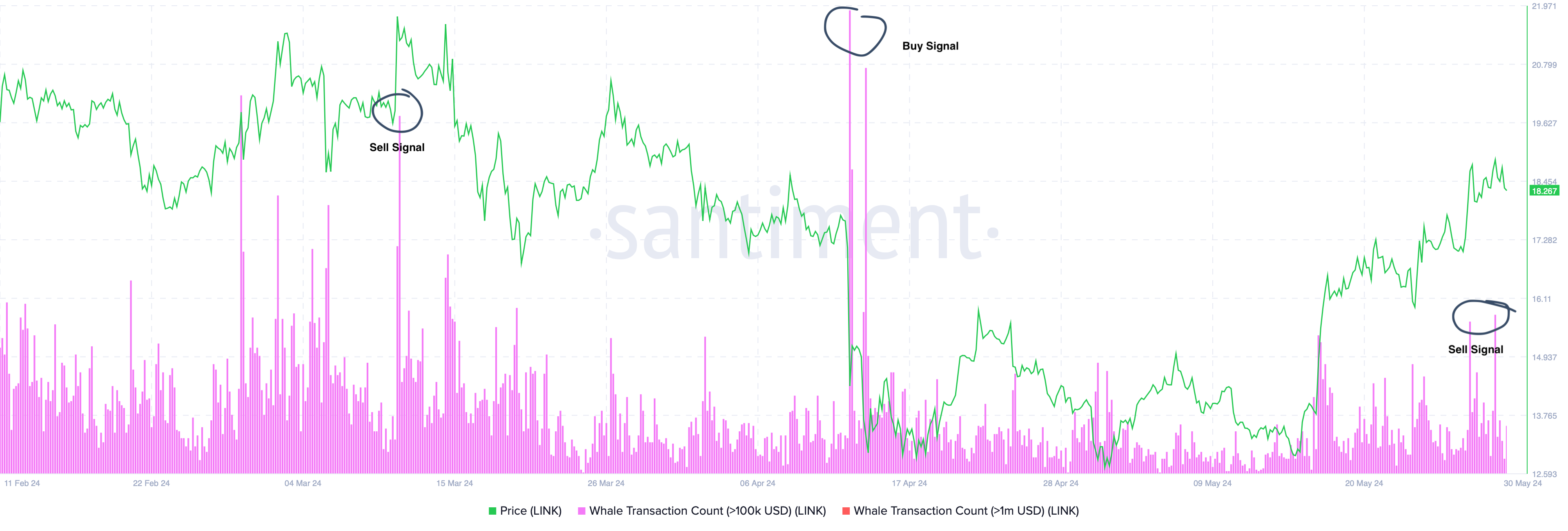 LINK Whale Transaction Count